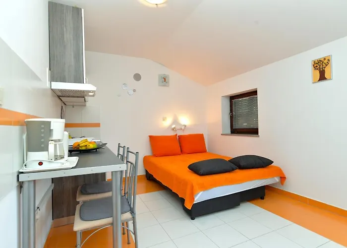 아파트 Stana 242 파자나