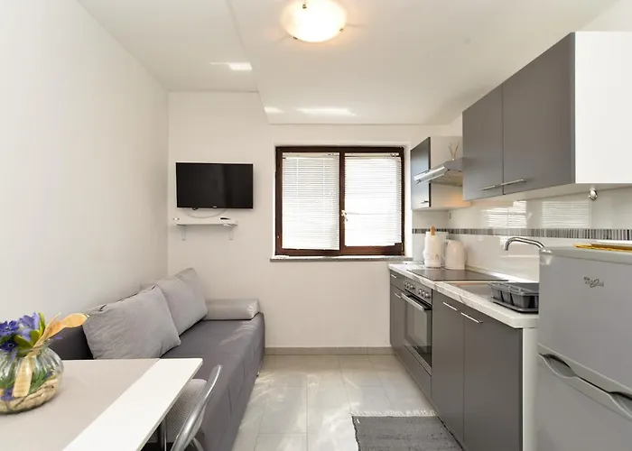 아파트 Stana 242 파자나